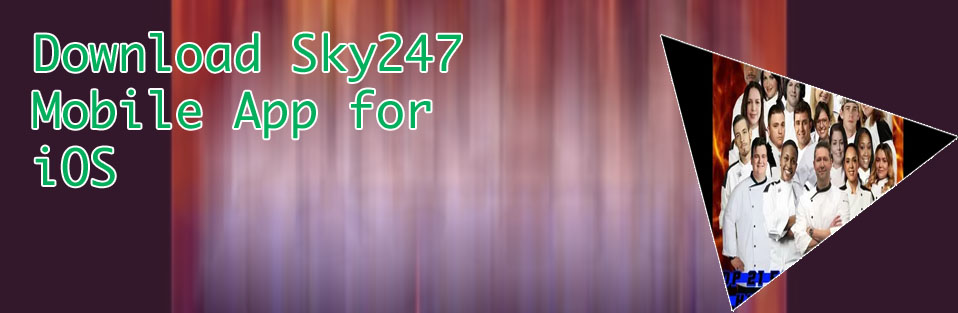 Sky247 best winners